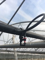 Arata mai multe informatii pentru Irigare prin microaspersie si ceata  Picture of Irigare prin microaspersie si ceata