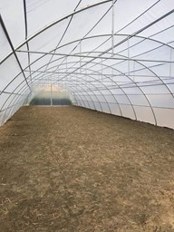 Arata mai multe informatii pentru Folie TUV 3781 Plastika Kristis - 180 microni Grecia  Picture of Folie TUV 3781 Plastika Kristis - 180 microni Grecia