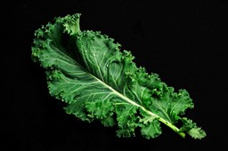 Arata mai multe informatii pentru Varza Kale Picture of Varza Kale