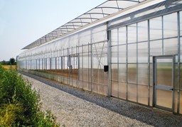 Arata mai multe informatii pentru Folie pentru solar 180 microni Pati Italia Picture of Folie pentru solar 180 microni Pati Italia