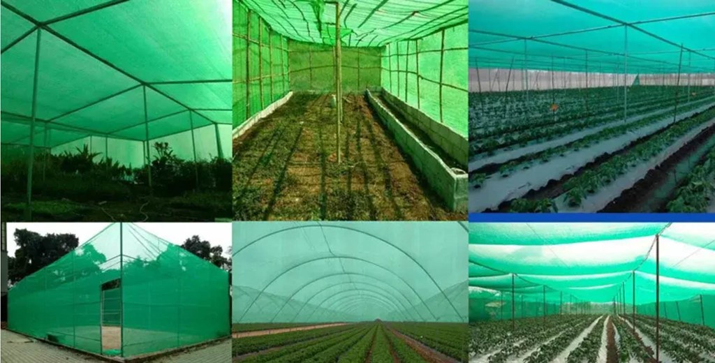 Cum și când montăm plasa de umbrire în solarii? Ghid practic pentru fermieri și grădinari Cum și când montăm plasa de umbrire în solarii? Ghid practic pentru fermieri și grădinari
