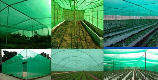 Cum și când montăm plasa de umbrire în solarii? Ghid practic pentru fermieri și grădinari Cum și când montăm plasa de umbrire în solarii? Ghid practic pentru fermieri și grădinari