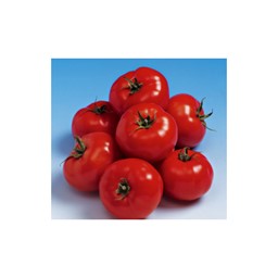 Arata produsele din categorie Seminte de Rosii Determinate Picture for category Seminte de Rosii Determinate