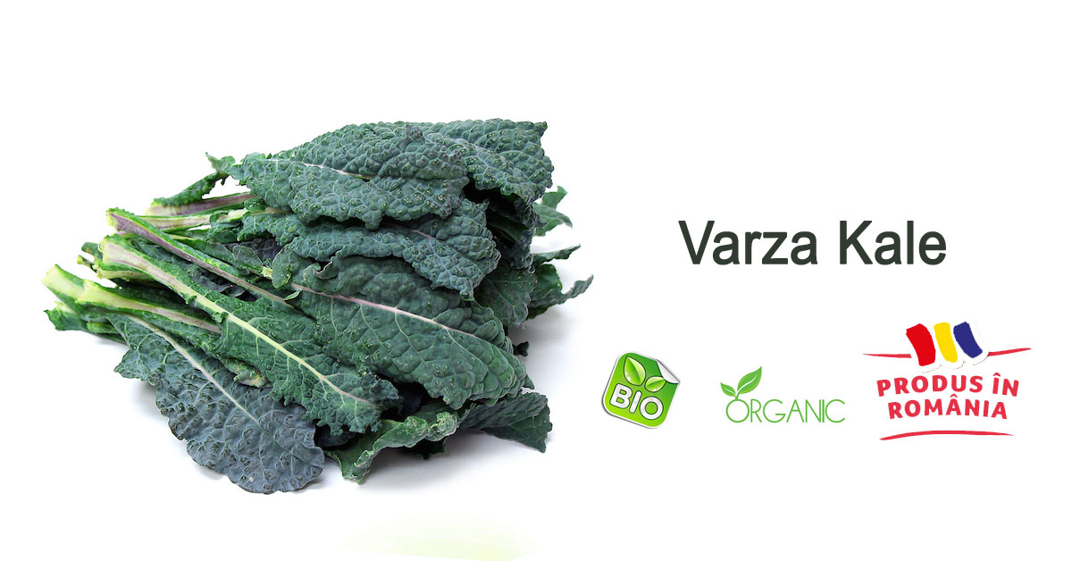 varka kale