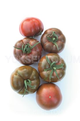 Poza cu Seminte de rosii Big Sacher (132-283) F1