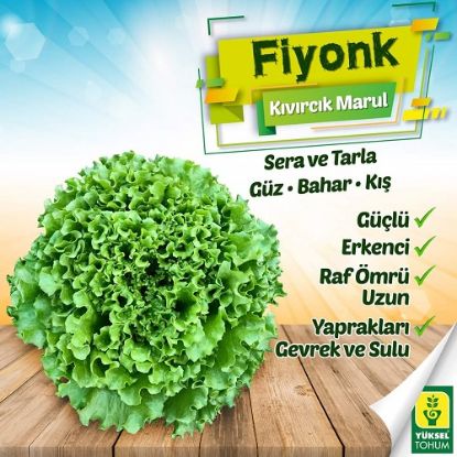 Poza cu Seminte de salata Fiyonk drajate