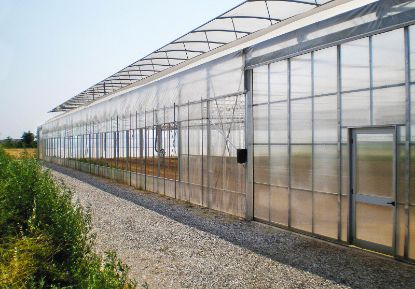 Poza cu Folie pentru solar 180 microni Pati Italia