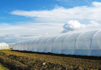 Poza cu Folie solar 160 microni profesionala Pati