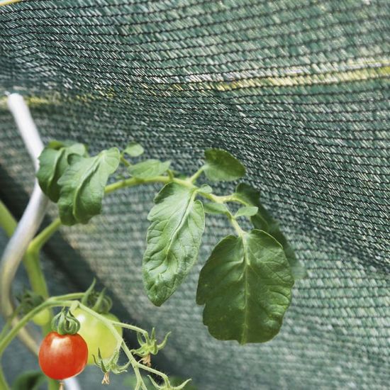 Poza cu Plasă de Umbrire 35%