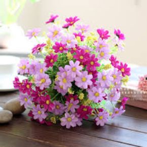 Poza pentru categoria Ghivece