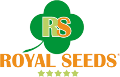 Imagine pentru producător Royal Seeds
