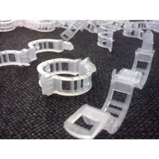 Poza cu Cleme Palisare