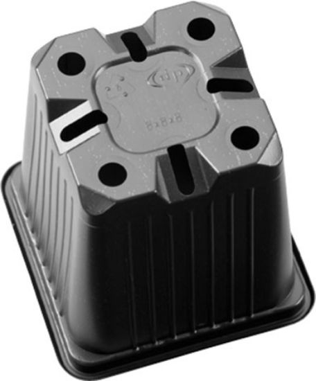 Poza cu Pahar Rasad - 8 x 8 x 8