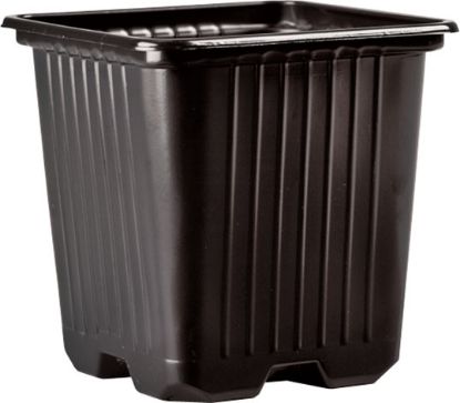 Poza cu Pahar Rasad - 9 x 9 x 10 PP