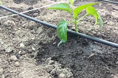 Teava pentru Sistemele de Irigatie 6 atm