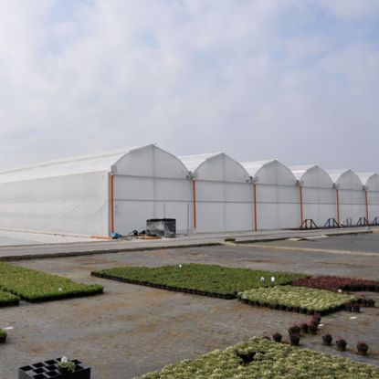 Poza cu Solarii si sere modulare