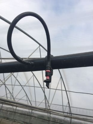 Irigare prin microaspersie si ceata 