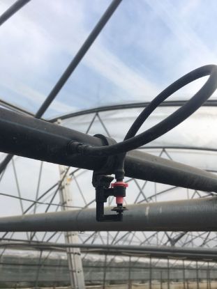 Poza cu Irigare prin microaspersie si ceata 