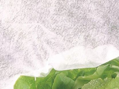 Poza cu Folie Antiinghet (19 gr/mp) - cu margini dublate - Agril