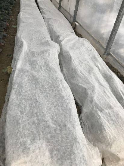 Poza cu Folie Microporoasa Antiinghet Agril 19 gr/mp