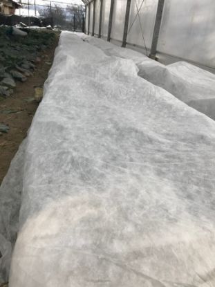 Folie Microporoasa Antiinghet Agril 19 gr/mp