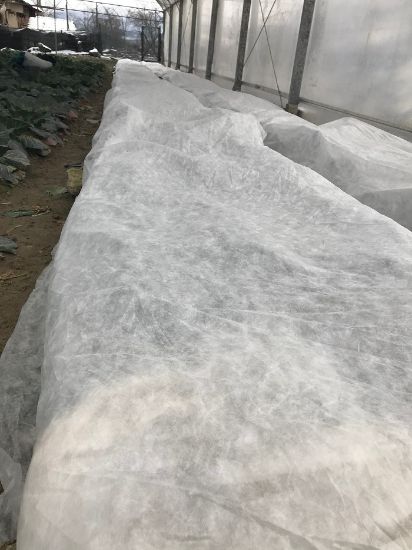 Poza cu Folie Microporoasa Antiinghet Agril 19 gr/mp