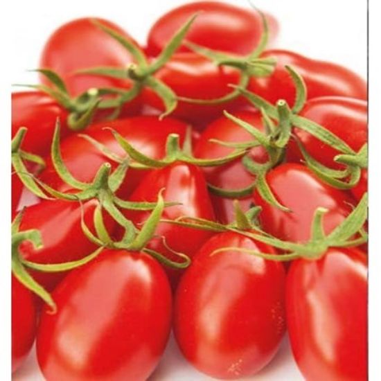 Poza cu Rasaduri de rosii cherry Nicoleta F1