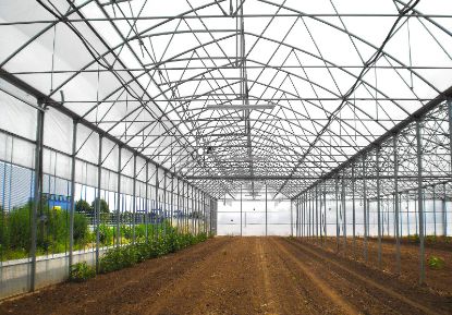 Folie pentru solar 180 microni Pati Italia