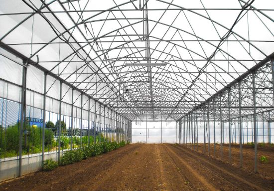 Poza cu Folie pentru solar 180 microni Pati Italia