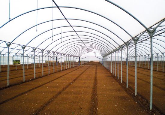 Poza cu Folie pentru solar 180 microni Pati Italia