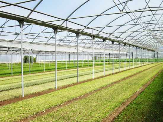 Poza cu Folie pentru solar 180 microni Pati Italia