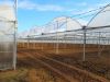 Poza cu Folie pentru solar 180 microni Pati Italia