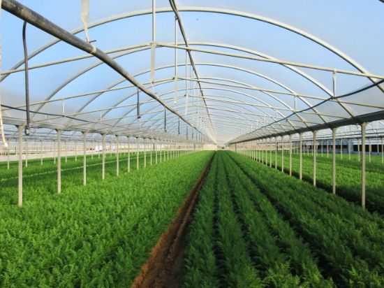 Poza cu Folie pentru solar 180 microni Pati Italia