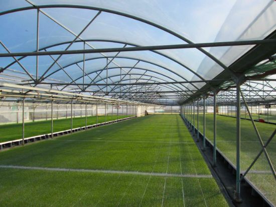 Poza cu Folie solar profesionala - 200 microni Pati Italia