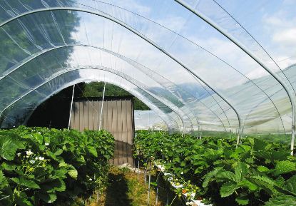 Folie solar 160 microni profesionala Pati