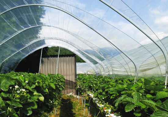 Poza cu Folie solar 160 microni profesionala Pati