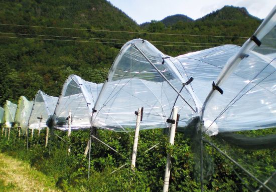 Poza cu Folie solar 160 microni profesionala Pati