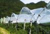 Poza cu Folie solar 160 microni profesionala Pati
