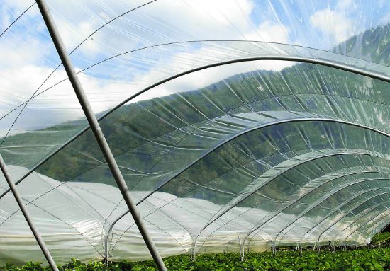 Poza cu Folie solar 160 microni profesionala Pati