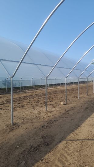 Poza cu Profil 40x40 tip H cu autosusținere și sârmă plastifiată GEO