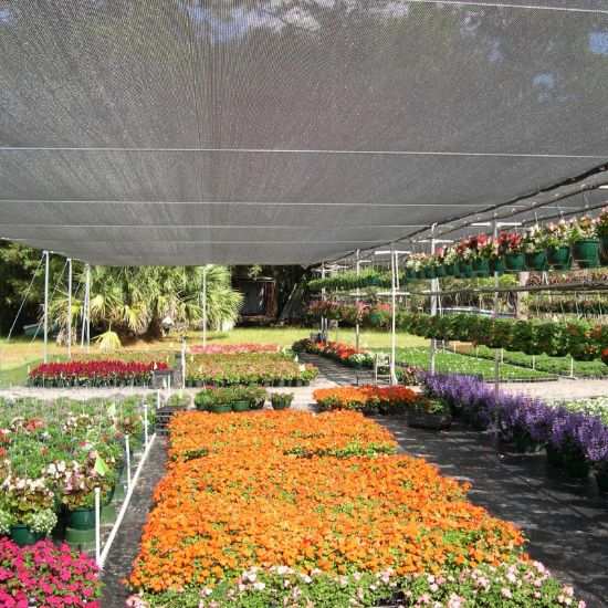 Poza cu Plasă de Umbrire 35%