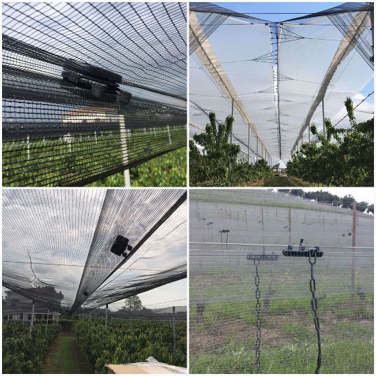 Poza cu Clipsuri prindere plase de umbrire/grindină