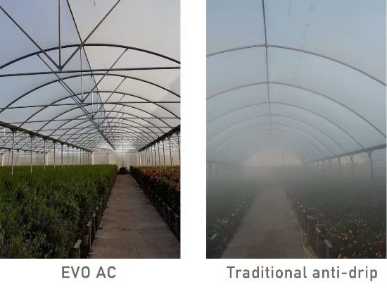 Poza cu FOLIE PLASTIKA KRITIS IN 8 STRATURI EVO 7504 AC, CRYSTAL CLEAR