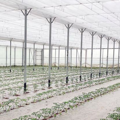 Poza cu FOLIE TERMICĂ perforată, tratată UV și IR 4202