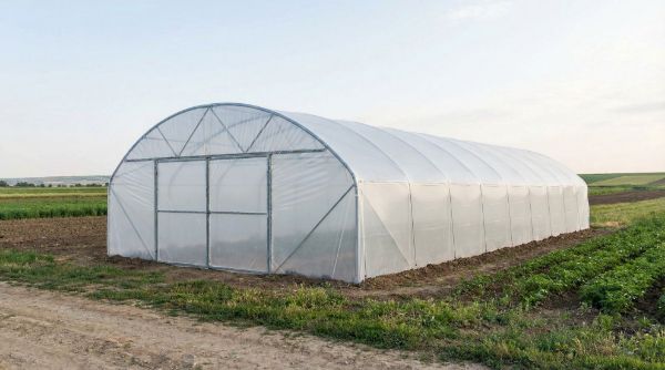 Cât de groasă trebuie să fie folia solară în funcție de zonă