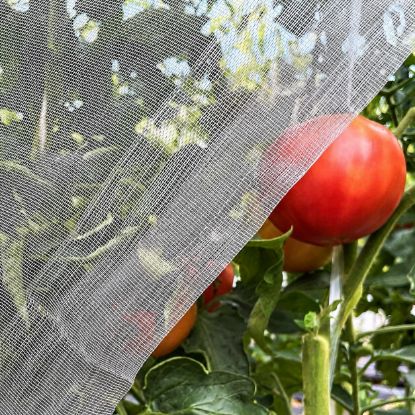 Plasa anti insecte alba ECO 1.5m x 50 m