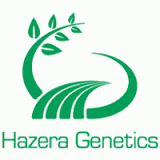 Picture for manufacturer Hazera