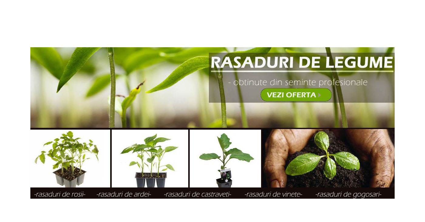 Rasaduri de legume